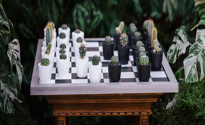 chess game using plants